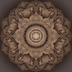 Spiritual Guidance ~ 90 min ~